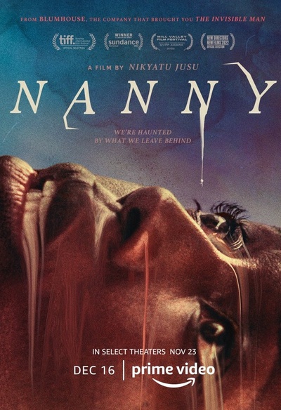 Affiche du film Nanny