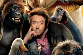 Affiche du film Dolittle Affiche du film Dolittle