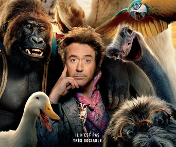 Affiche du film Dolittle