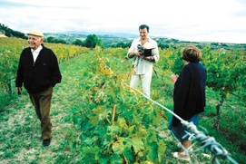 Scène du film Mondovino