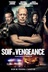 Affiche du film Soif de vengeance