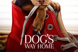 Images du film A Dog's Way Home