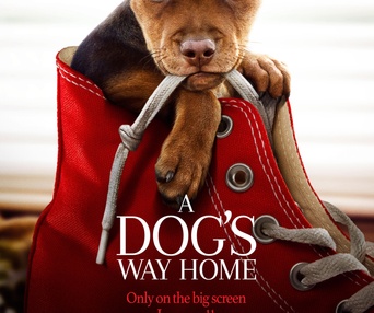 Images du film A Dog's Way Home