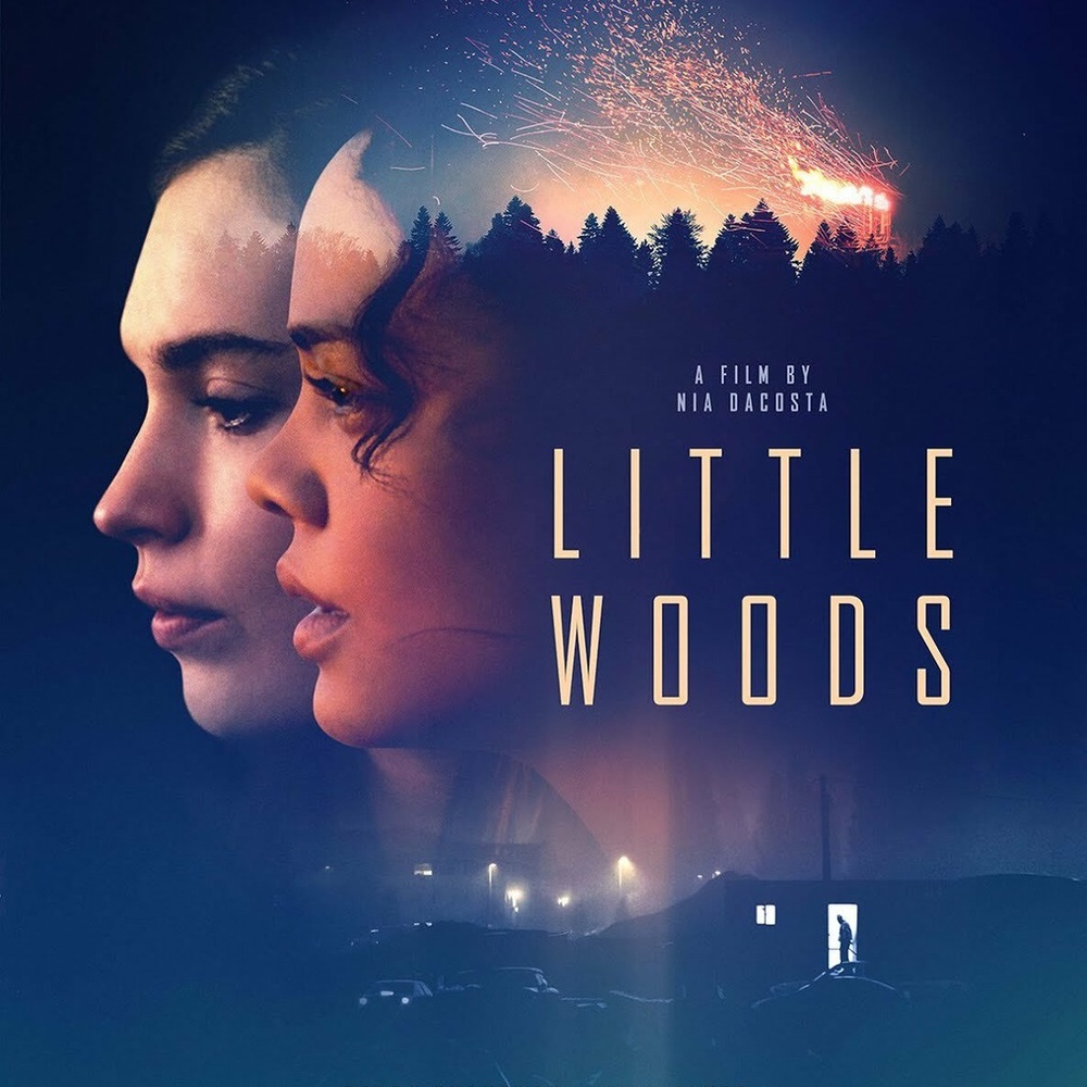 Affiche du film Little Woods