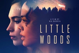 Affiche du film Little Woods
