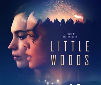 Affiche du film Little Woods