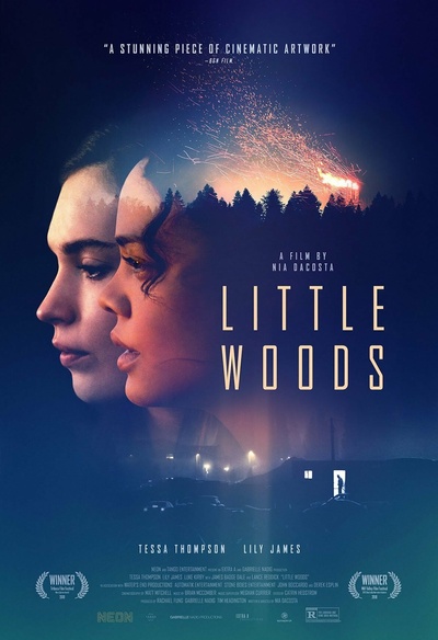 Affiche du film Little Woods