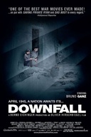 Affiche du film La chute