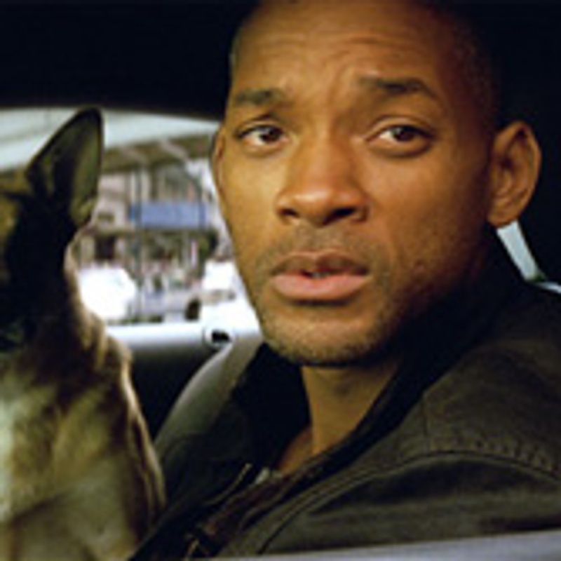Will Smith dans I Am Legend