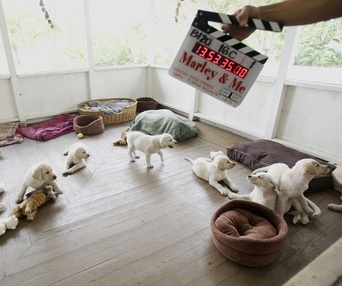 Scène du film Marley and Me