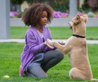 Une scène du film Annie
