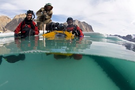 Une scène du film To the Arctic 3D