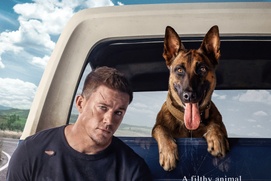 Affiche du film Dog