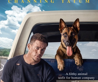Affiche du film Dog