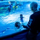 Sur le tapis rouge du film Avatar: The Way of Water