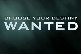 Affiche du film Wanted Affiche du film Wanted