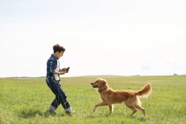 Une scène du film A Dog's Purpose Une scène du film A Dog's Purpose