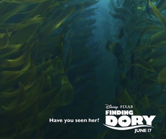 Affiche du film Finding Dory