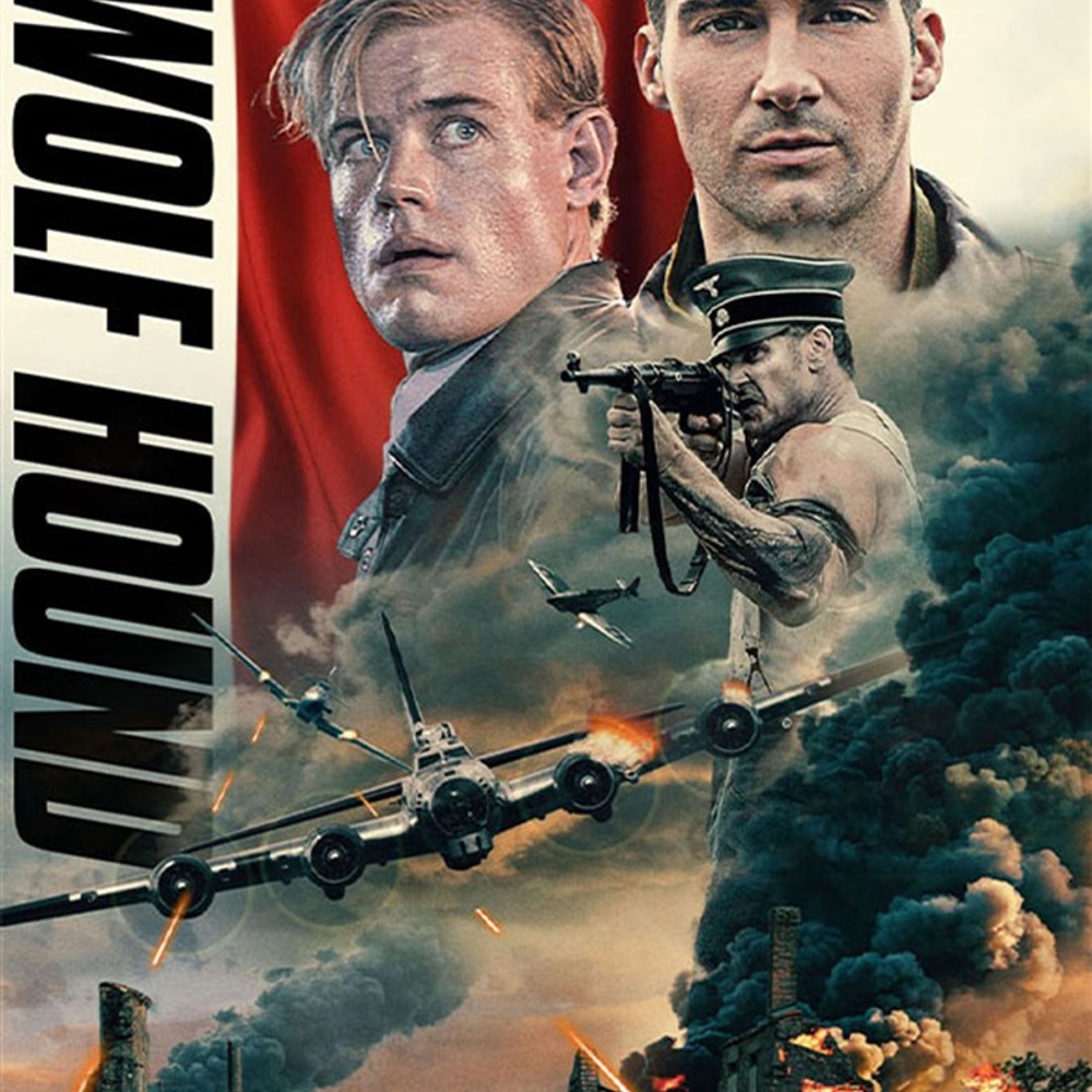 Affiche du film Wolf Hound
