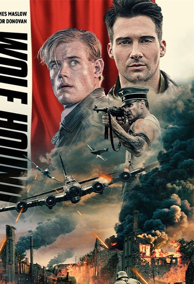 Affiche du film Wolf Hound