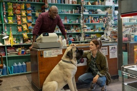 Une scène du film A Dog's Journey