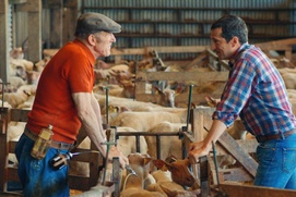 Une scène du film Au nom de la terre