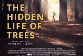 Affiche du film The Hidden Life of Trees
