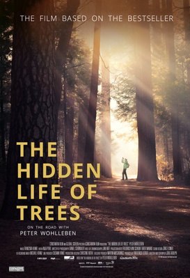 The Hidden Life of Trees
