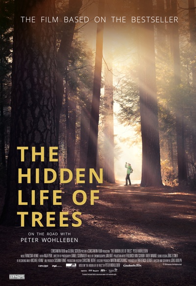 Affiche du film The Hidden Life of Trees