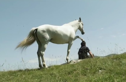 Bande-annonce en français