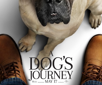 Affiche du film A Dog's Journey