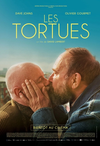 Affiche du film Les tortues