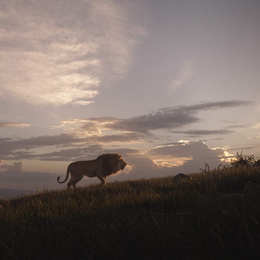 Une scène du film The Lion King