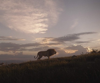 Une scène du film The Lion King