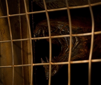 Une scène du film Riddick