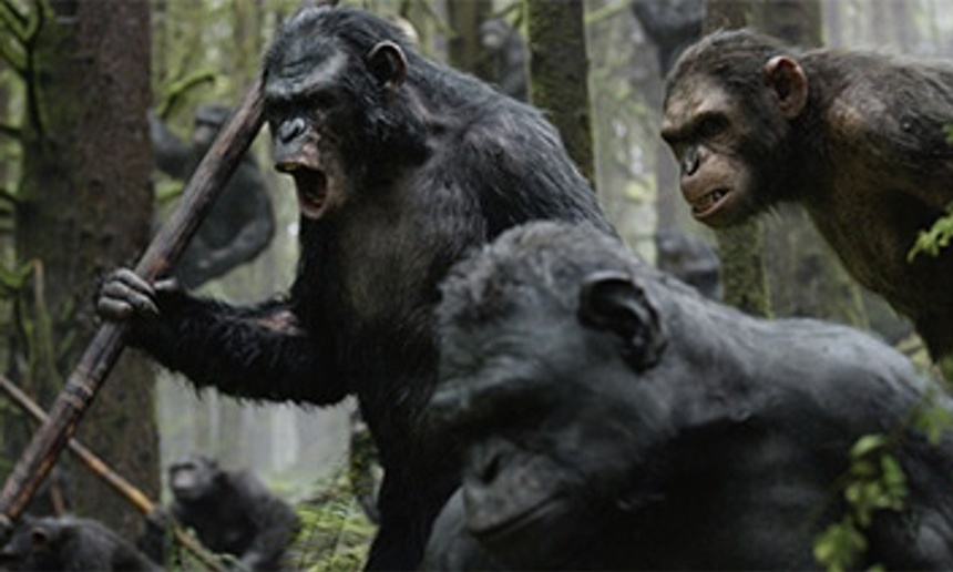 Box-office québécois : L'aube de la planète des singes conserve le premier rang