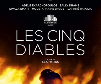 Affiche du film Les cinq diables