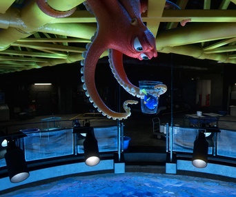 Une scène du film Finding Dory