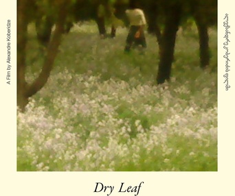 Image du film Dry Leaf