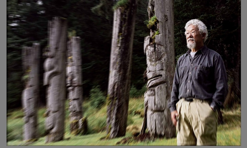 La vie de David Suzuki bientôt au grand écran