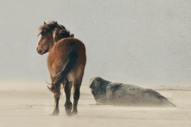Image du film Murmures Image du film Murmures