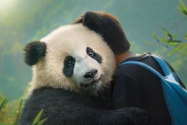 Affiche du film Moon le panda