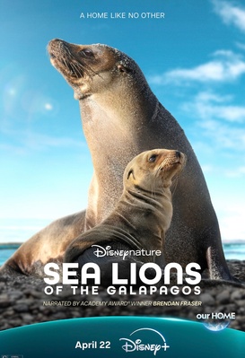 Sea Lions of the Galápagos