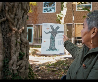 Images du film Forêts urbaines