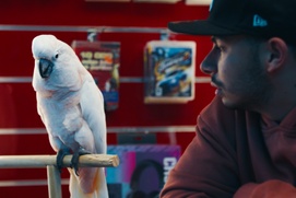 Image du film Challenger Image du film Challenger