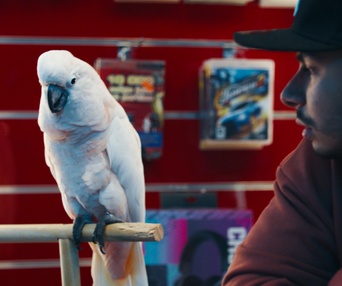 Image du film Challenger