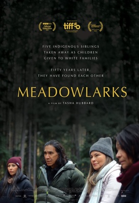 Meadowlarks
