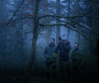 Image du film Le chant des forêts