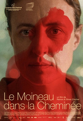 Le moineau dans la cheminée