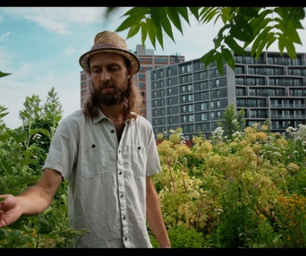 Images du film Forêts urbaines